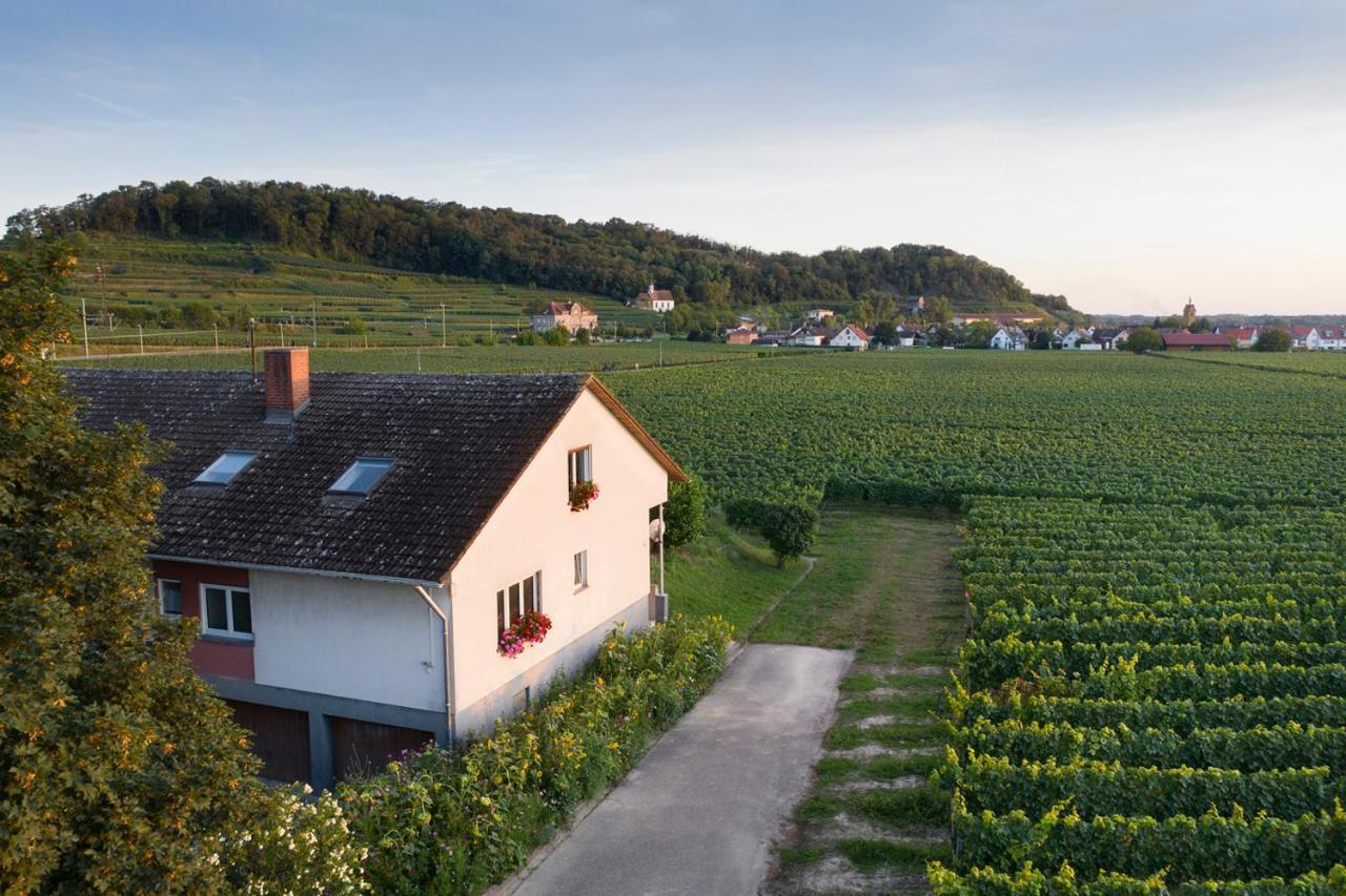 Winzerhof Henkenberg Appartement Niederrotweil Buitenkant foto
